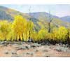 Link to: Colorado Highlands/Field Study by Cal Capener